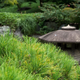 Kokyo Higashi-gyoen (The East Gardens of the Imerial Palace)